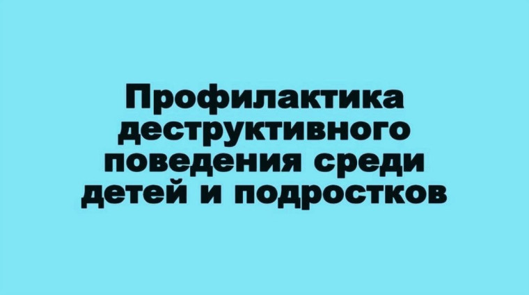 Профилактика деструктивного поведения.